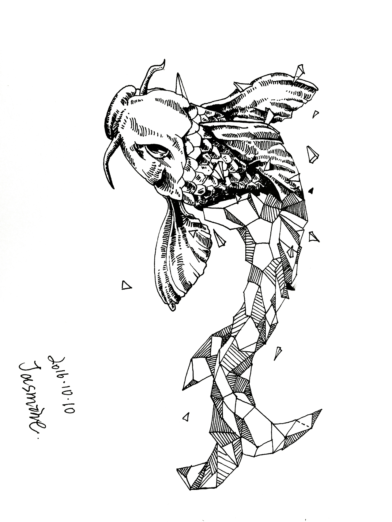 黑白插画|其他|文案/策划|品牌设计廖芬芬_原创作品-站酷zcool