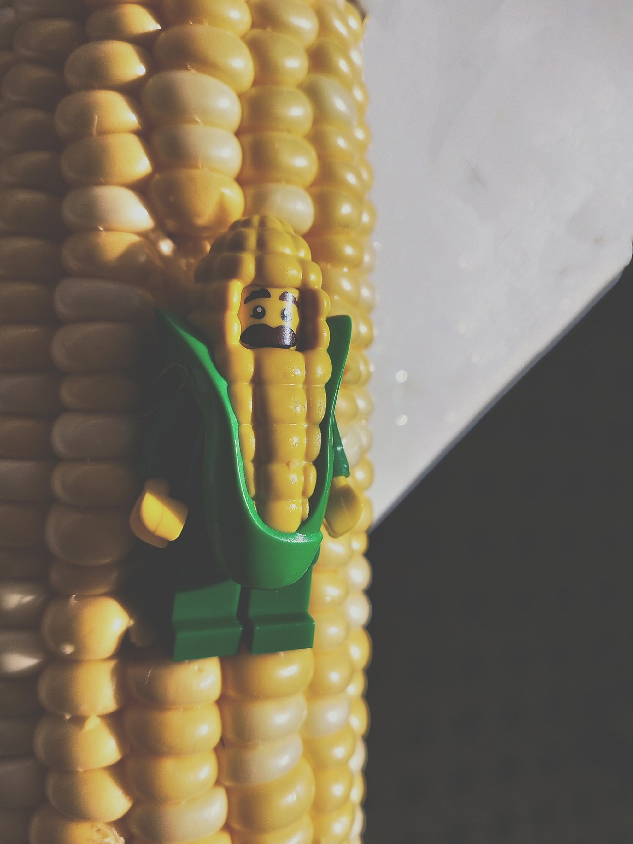 樂高之蔬菜大冒險（圖ZMTQxMDUwODc2） - 其他攝影 - 站酷設(shè)計師拍拍拍的旺仔醬原創(chuàng)素材 - 站酷ZCOOL