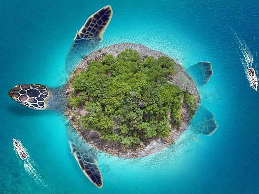 个人练习作品（请多多指导）（个人主页-ZMzI3OTMwNDA=） - 海报 - 站酷设计师小小O欧原创素材 - 站酷ZCOOL