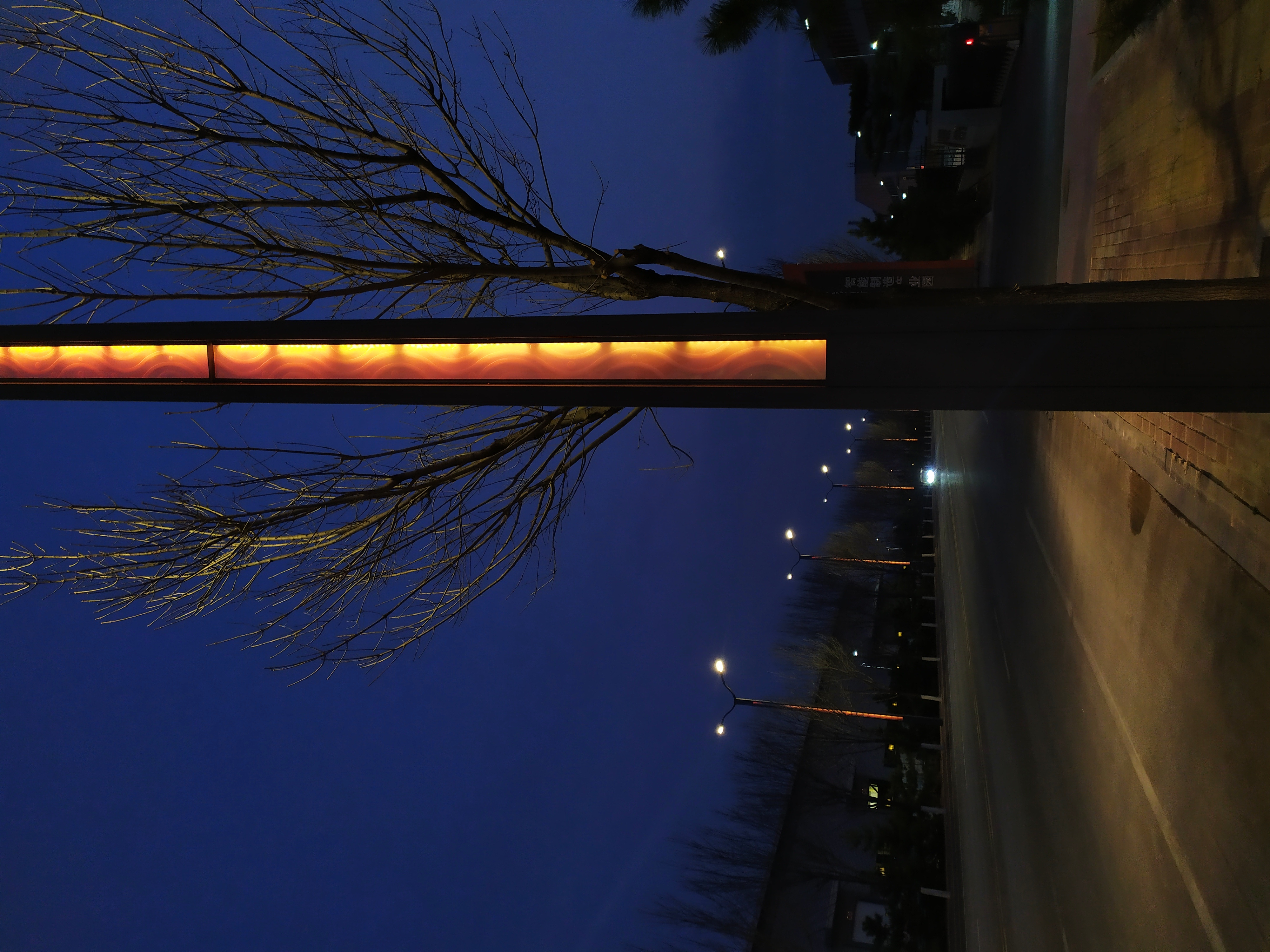 世博光电创新品质发光导光路灯杆结合夜景风景线