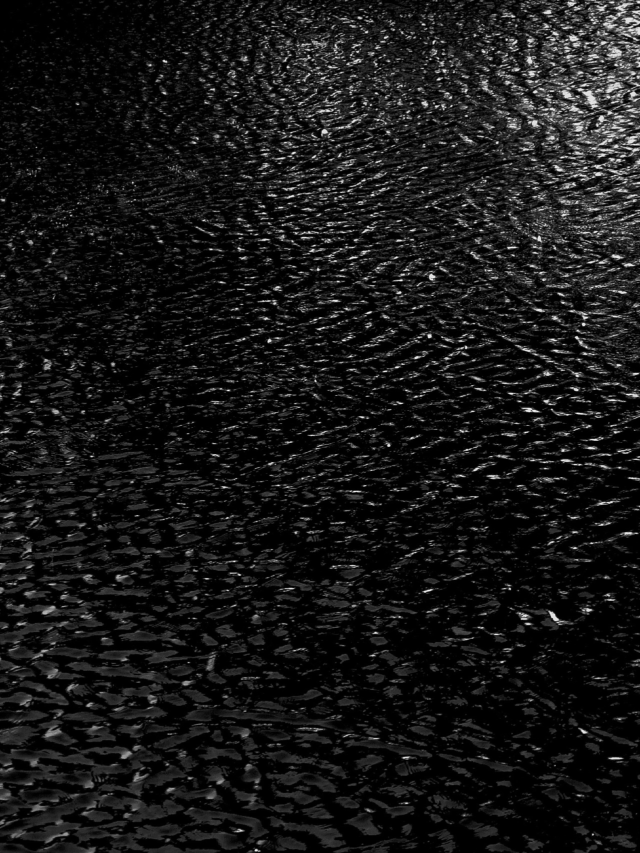 BLACK/车在吃饭我在睡觉