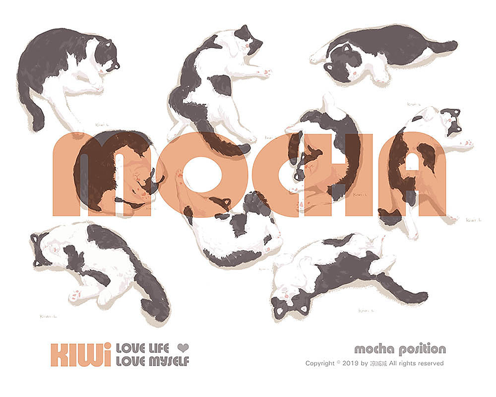 mocha睡姿集合1（图ZMTU1OTE3OTQw） - 创作习作 - 站酷设计师凉减减原创素材 - 站酷ZCOOL