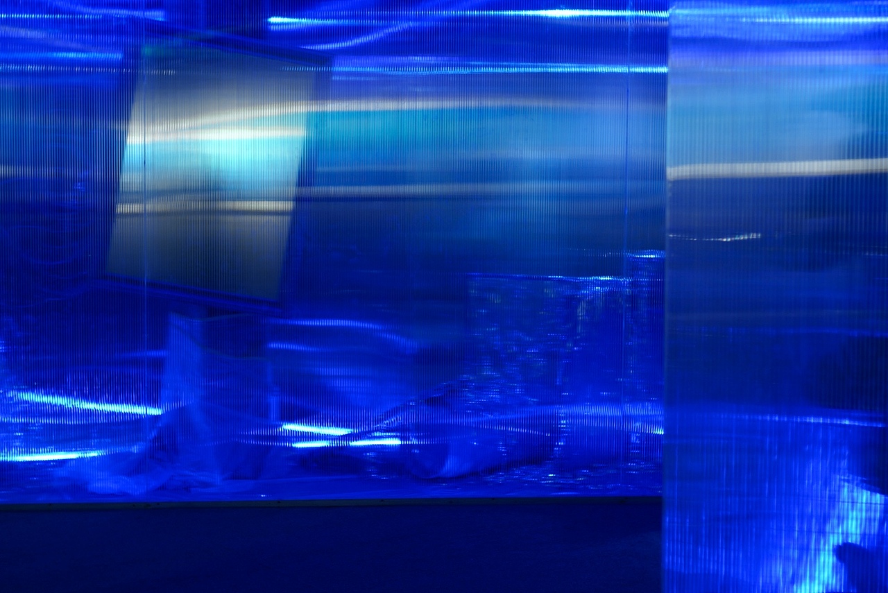 #0000FF——海洋环保主题艺术展