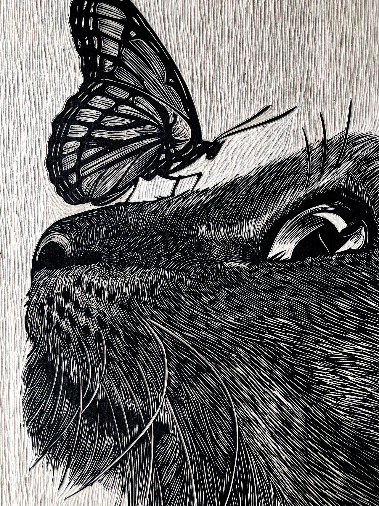 手工雕刻黑白木刻版画动物