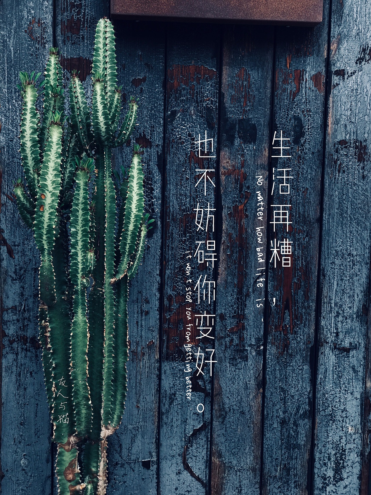 不放弃,才有希望.