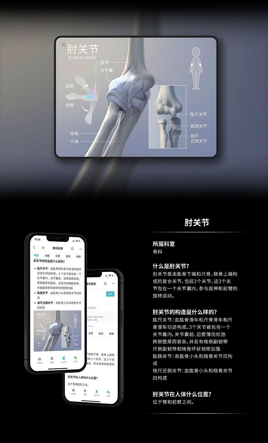 人体解剖高清海报合辑4 | 医学插画