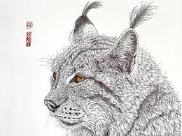 纯艺术作品