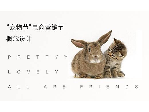 宠物节电商营销视觉设计#概念设计向#