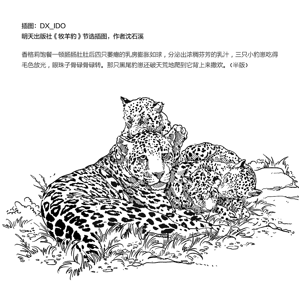 2189 一些插图整理（图ZMTI5NTg5MTQ0） - 绘画 - 站酷设计师DX_IDO原创素材 - 站酷ZCOOL