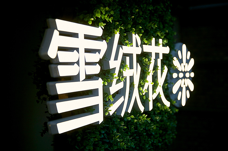 水仙美容综合体-子品牌规划设计