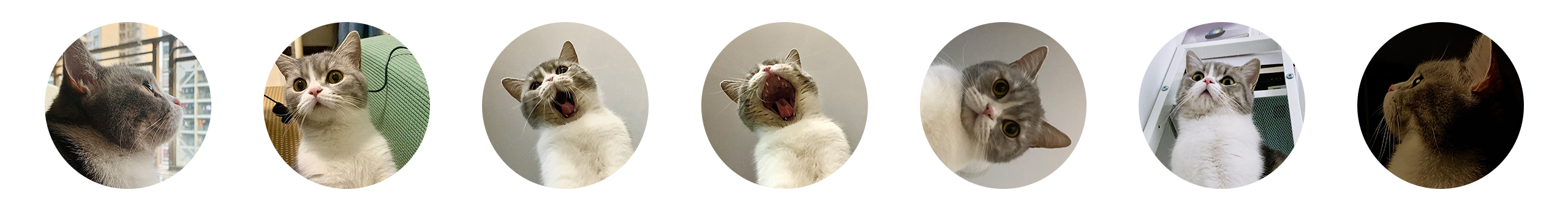 噜噜霸霸的个人主页（封面预览） - 主页封面设置 - 站酷设计师噜噜霸霸原创素材 - 站酷ZCOOL