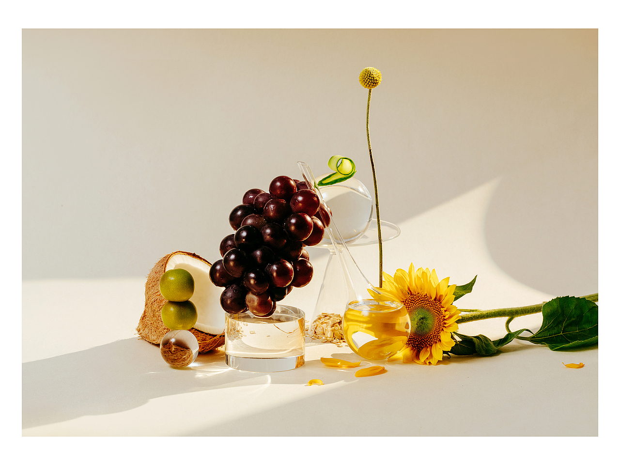 Evereden Brand（图ZMjQzMjI0NDgw） - 产品摄影 - 站酷设计师Mavis_Malin原创素材 - 站酷ZCOOL