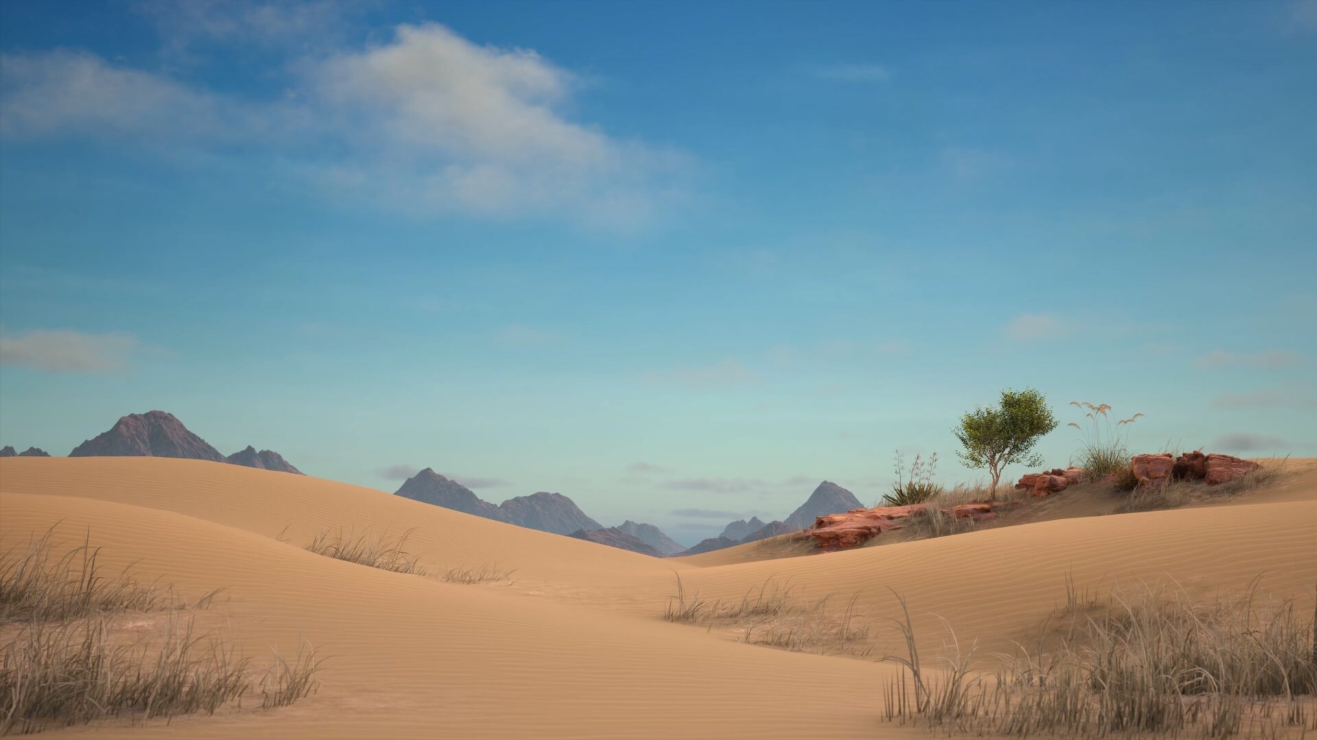 沙漠自然风光5k超清动态壁纸_柠檬吥萌-站酷zcool