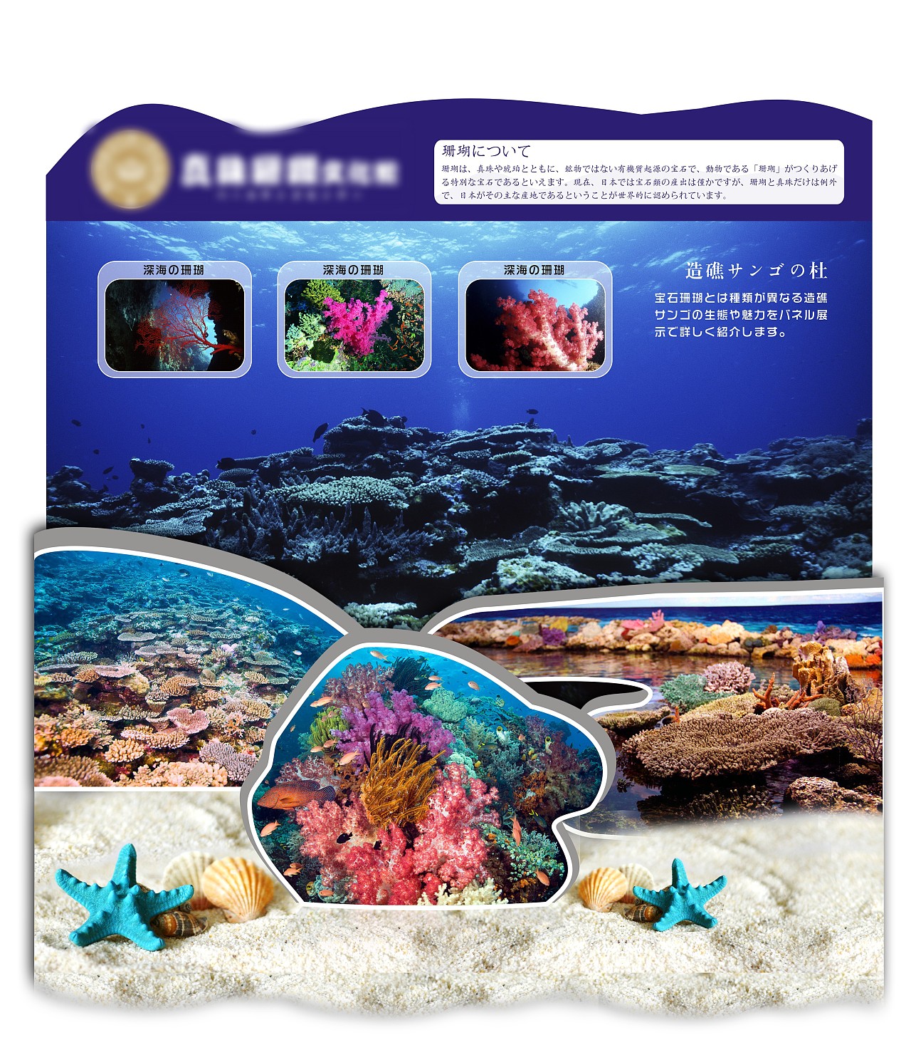 红珊瑚文化知识宣传推广 展示架设计制作 红珊