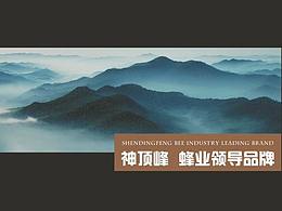 品牌设计