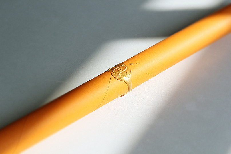 盛火十年—猴年新年海报