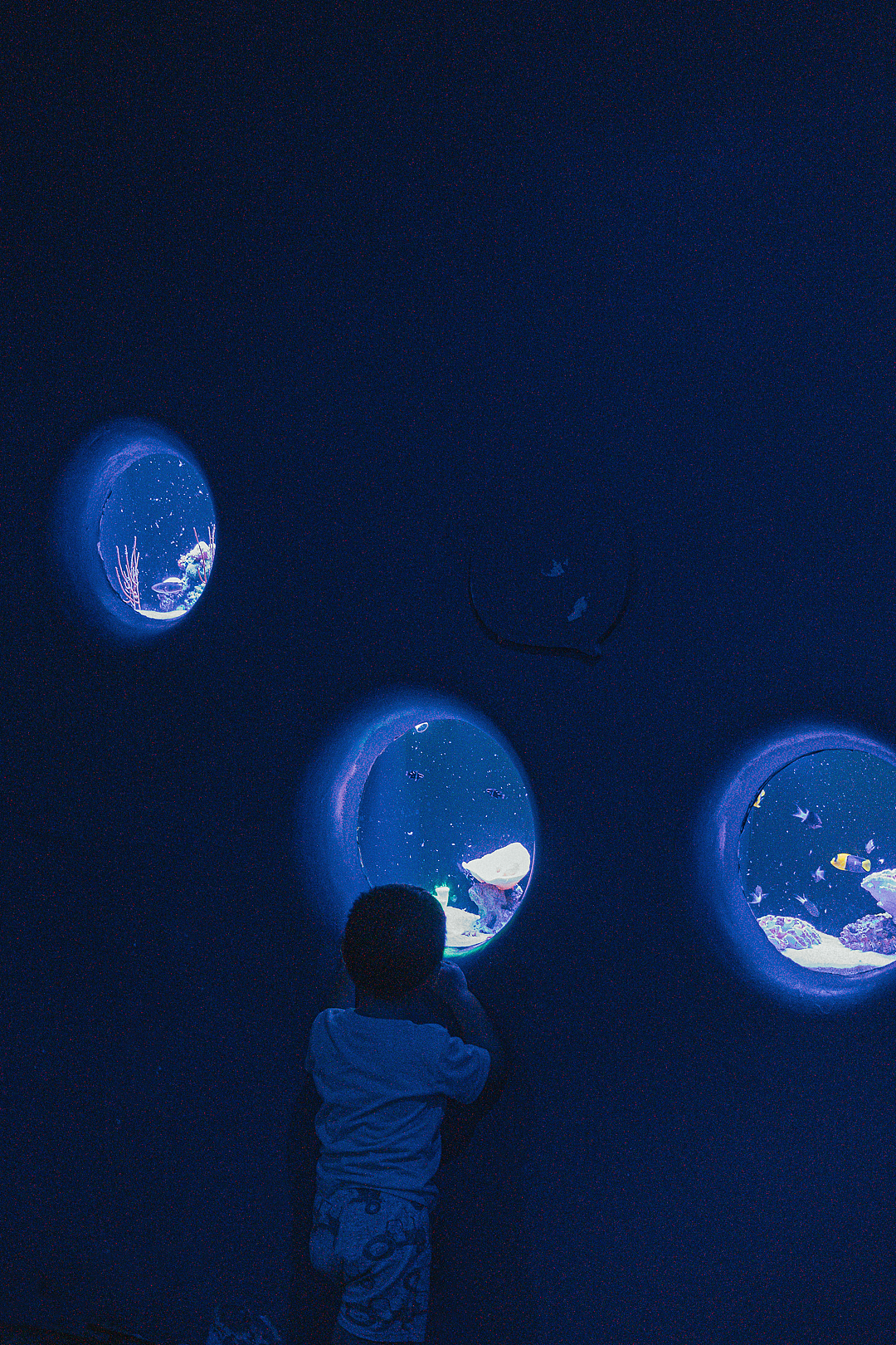「海底蓝洞」•海洋奇梦馆（图ZMjY2MDc2NTY4） - 人像摄影 - 站酷设计师寶兒boa原创素材 - 站酷ZCOOL