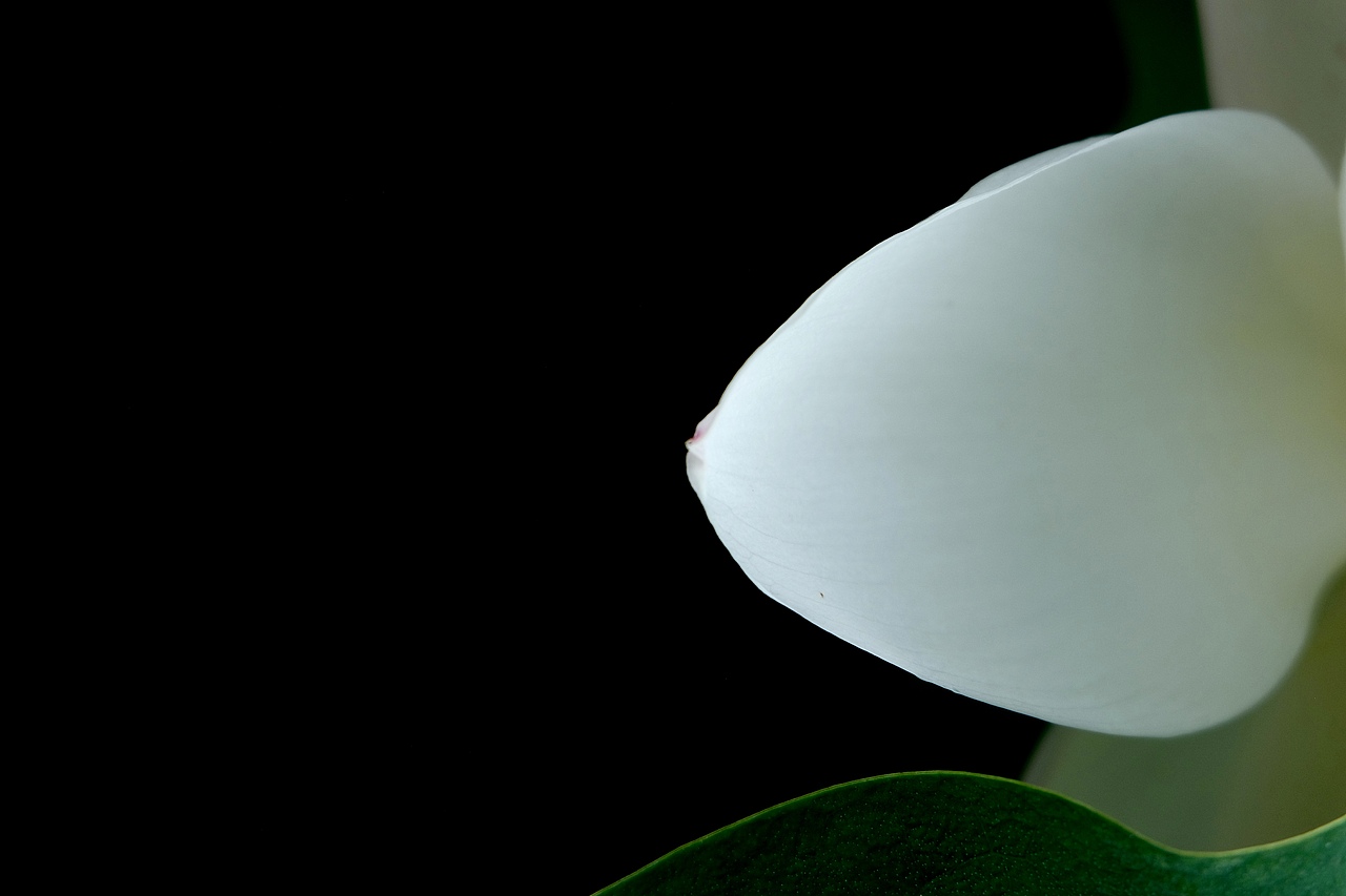 向往一抹清凉，生活是平平淡淡的美好（图ZMTIyMjI4Mzcy） - 风光摄影 - 站酷设计师仰天大笑出门去3原创素材 - 站酷ZCOOL