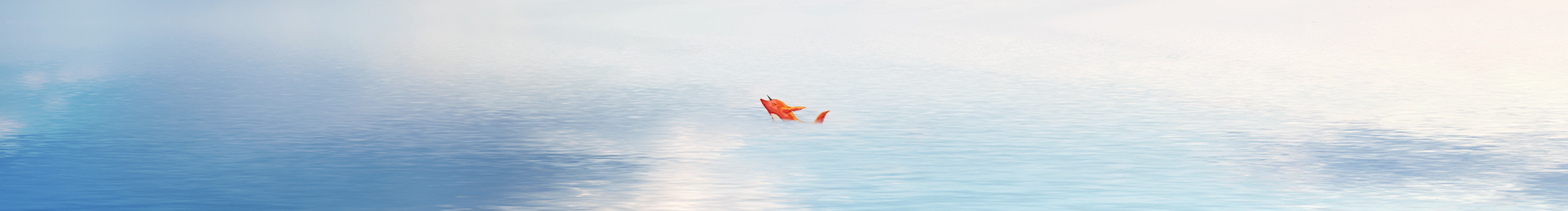 紗耶莎嘉的個(gè)人主頁（封面預(yù)覽） - 主頁封面設(shè)置 - 站酷設(shè)計(jì)師紗耶莎嘉原創(chuàng)素材 - 站酷ZCOOL