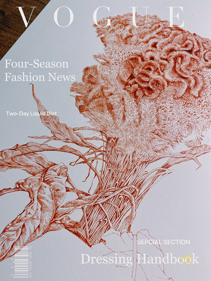 蘸水笔针管笔|鸡冠花