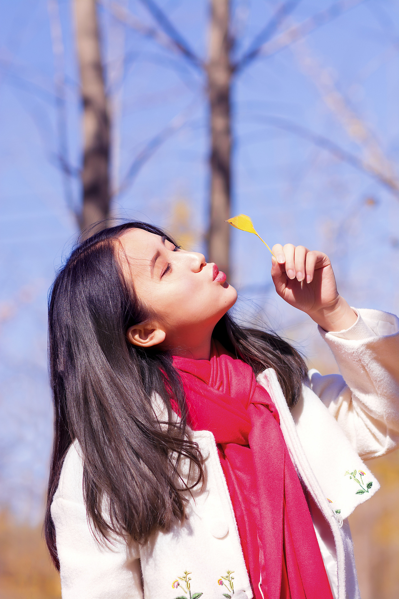 秋天·安安静静的绚烂