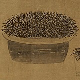 馄饨的主人的头像