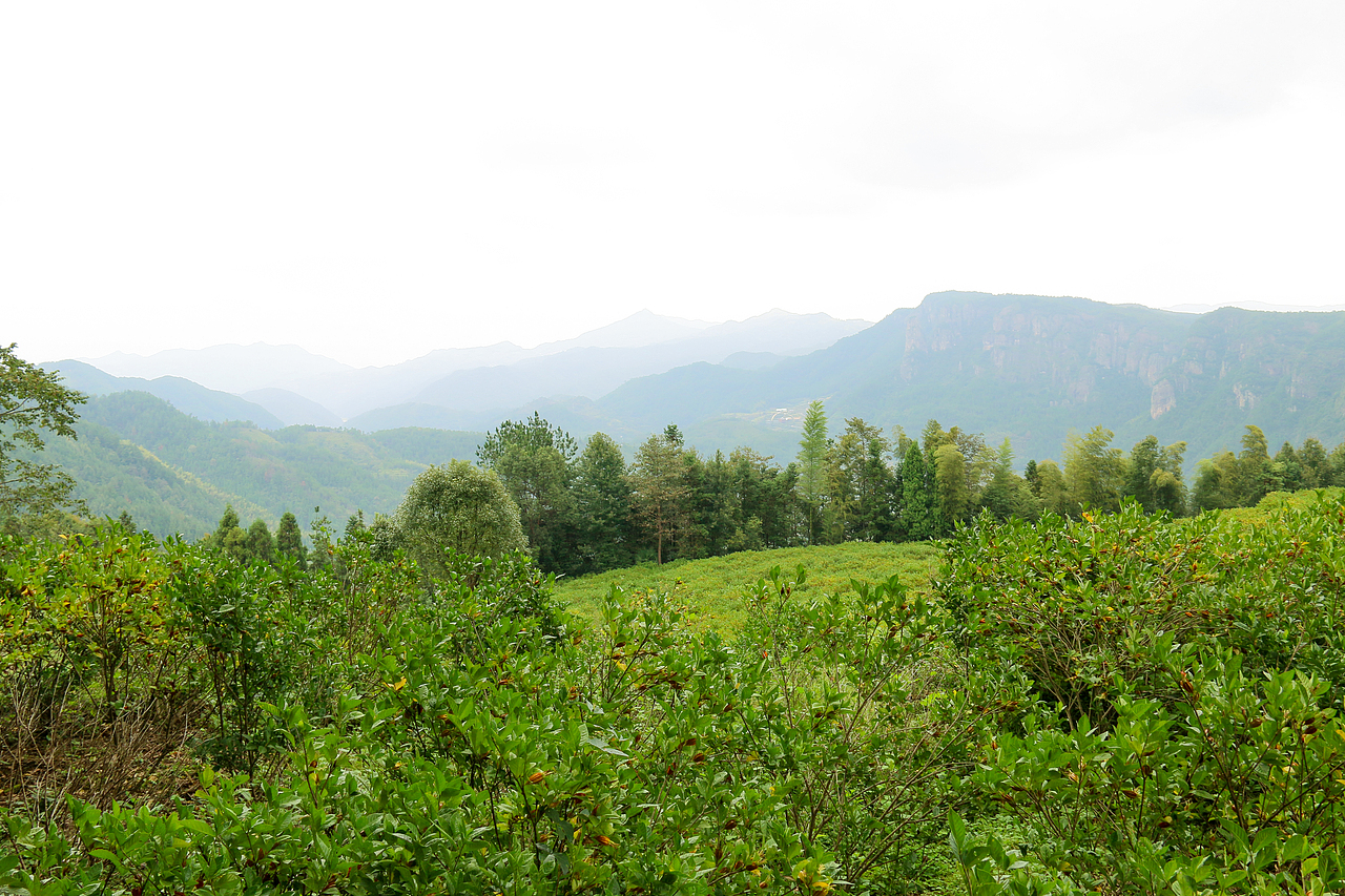 仙居随拍。（图ZNjA4Nzk3ODg=） - 风光摄影 - 站酷设计师阳先森原创素材 - 站酷ZCOOL