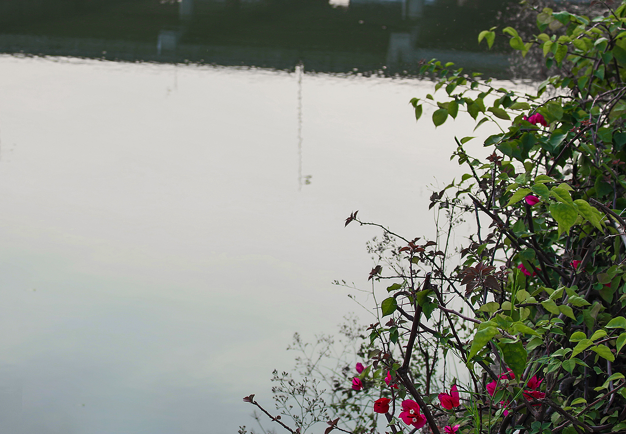 一些零碎手机作品