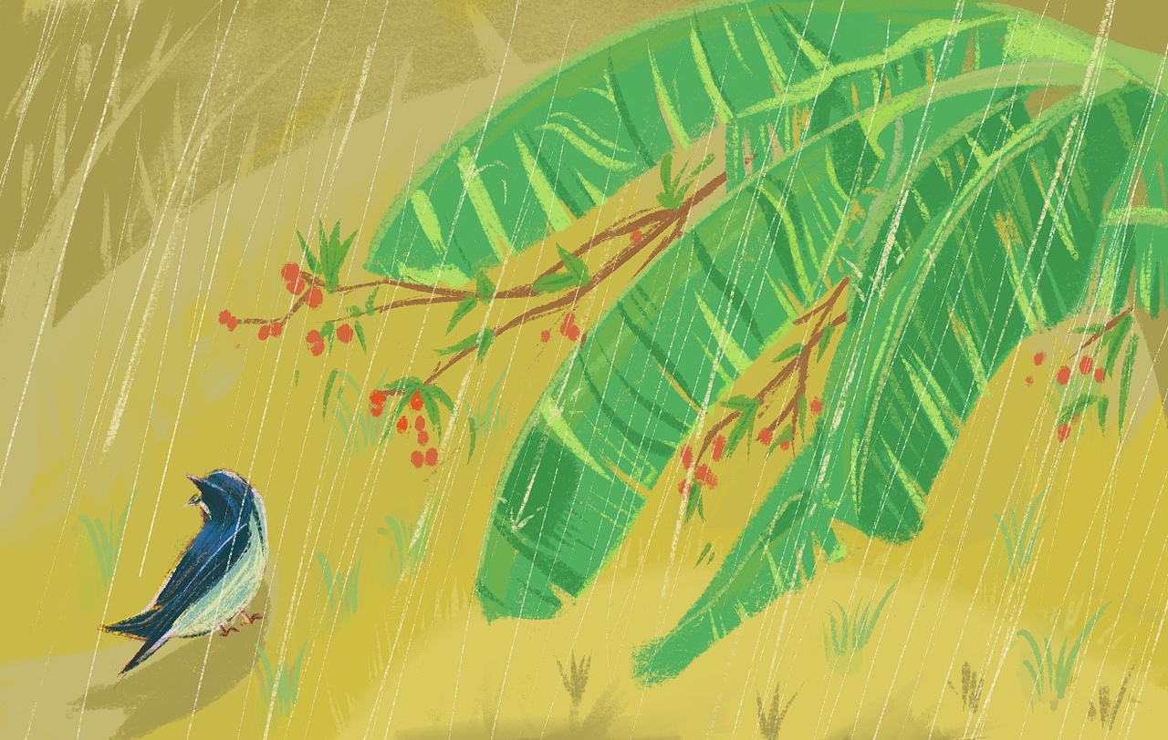 燕归巢之红了樱桃绿了芭蕉（图ZMjkxMjAxNTIw） - 创作习作 - 站酷设计师三猫大王原创素材 - 站酷ZCOOL