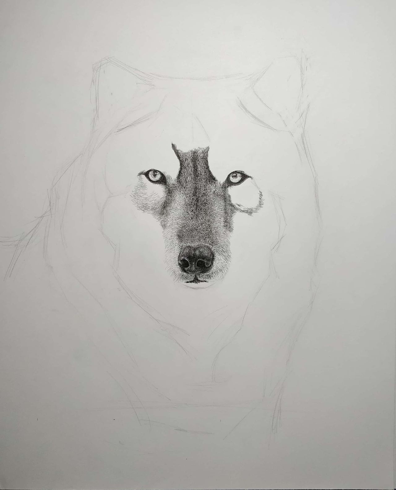 钢笔画（图ZOTk1NzIwNjA=） - 绘画 - 站酷设计师杨陶昰昱_ShiYu原创素材 - 站酷ZCOOL