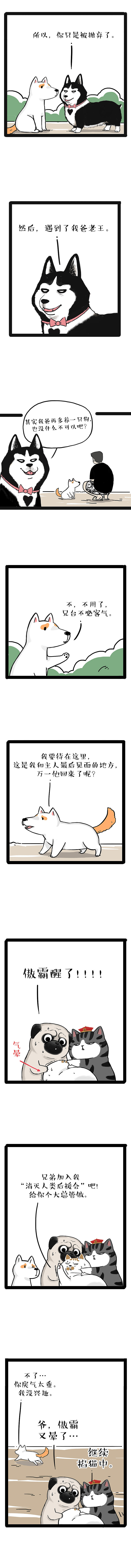 无论你在哪里，我在原地等你……（图ZMTg1NjEyNzky） - 中/长篇漫画 - 站酷设计师吾皇的白茶原创素材 - 站酷ZCOOL