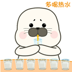 Hello豹豹第二幕