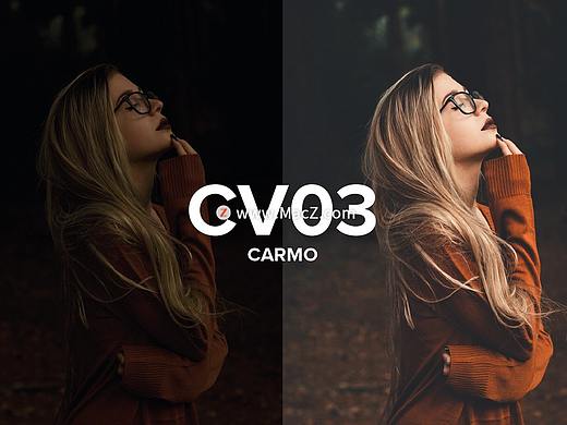 5个照片曝光调整lr预设