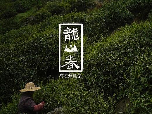 《龙山春》品牌视觉｜茶包装
