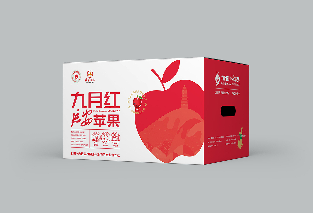 九月红延安苹果包装箱设计