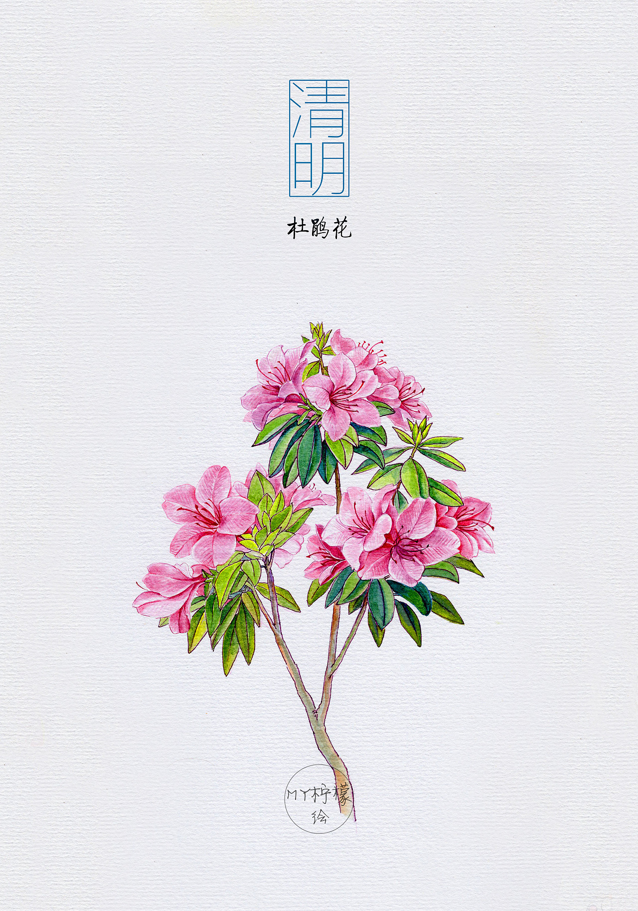 二十四节气花卉插画