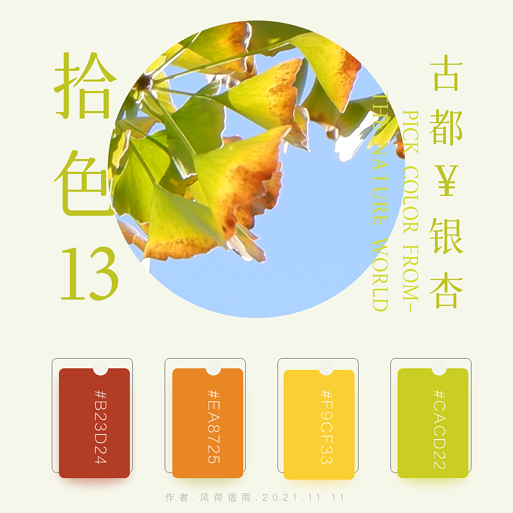 色彩（银杏）（图ZMjgyNzQ2NjQ4） - 其他 - 站酷设计师风荷宿雨原创素材 - 站酷ZCOOL