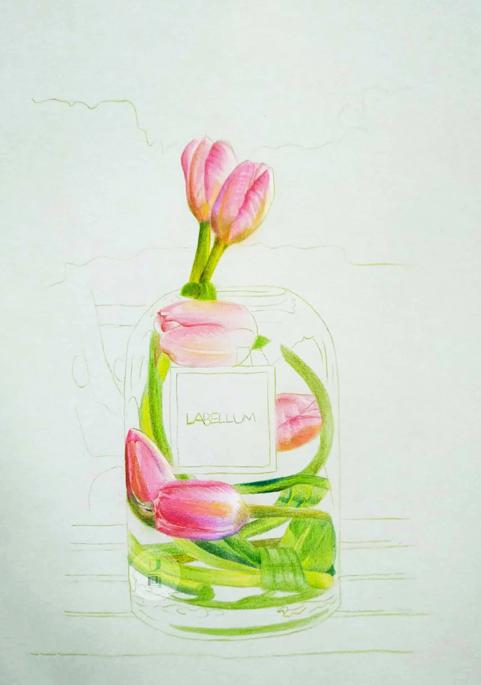 彩铅| 郁金香花瓶图文教程