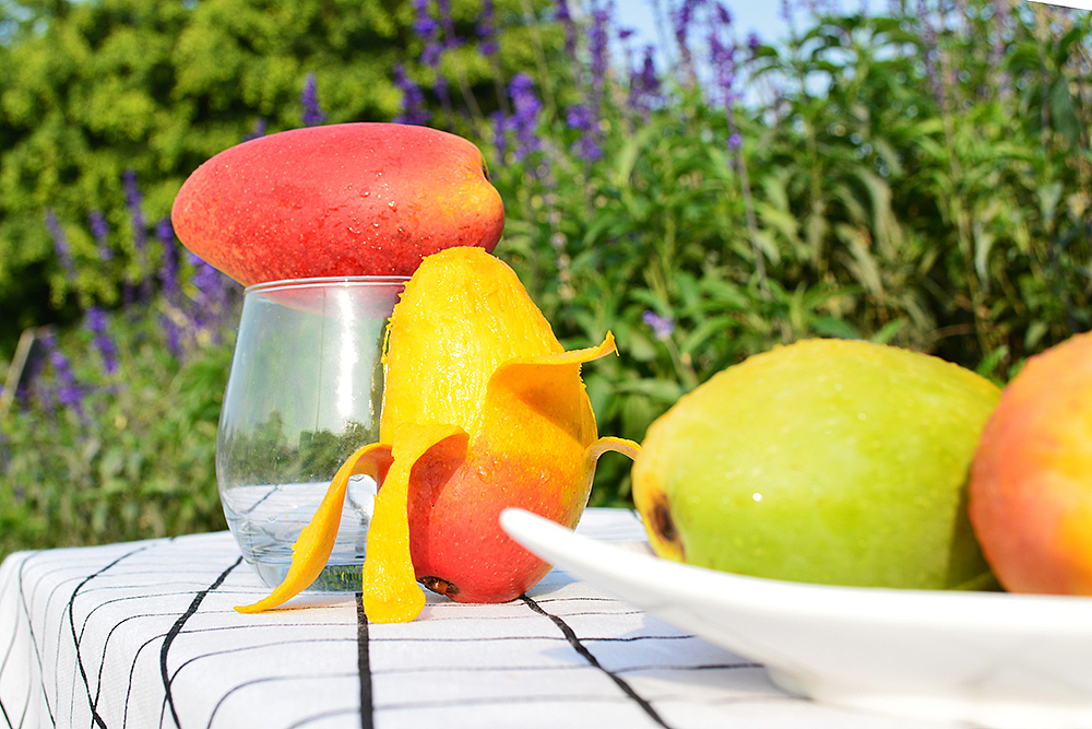 水果/贵妃芒/芒果