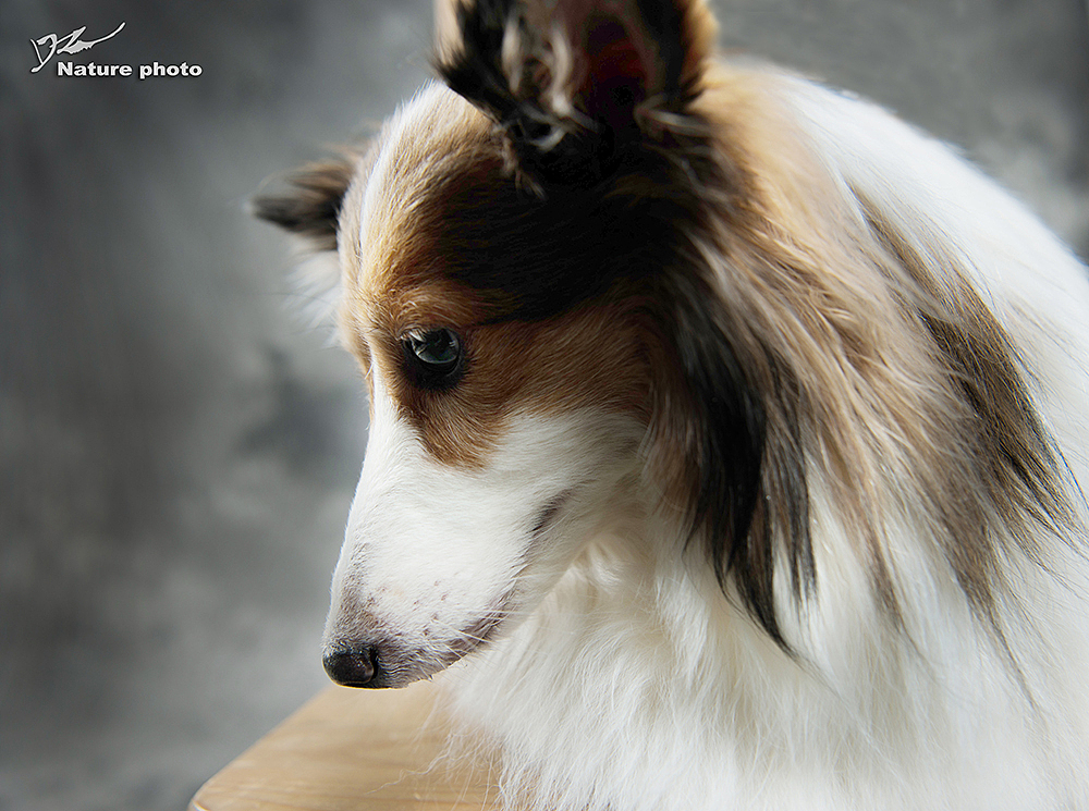 《不让爱流失》