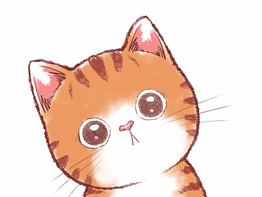 《带上橘猫去旅行》橘猫木瓜的表情包