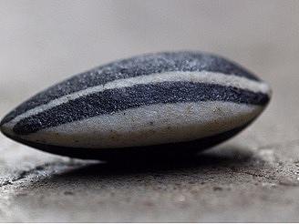 嘎嘣~小瓜子（個人主頁-ZMjQ1ODczNjg=） - 其他UI - 站酷設(shè)計師捉摸不透的Gemini原創(chuàng)素材 - 站酷ZCOOL