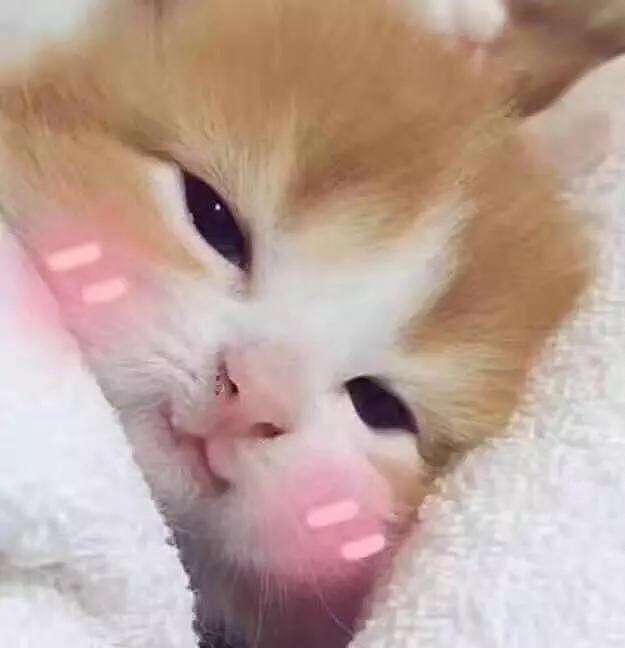 一些小水彩习作，希望可以坚持下去，一点一点进步！