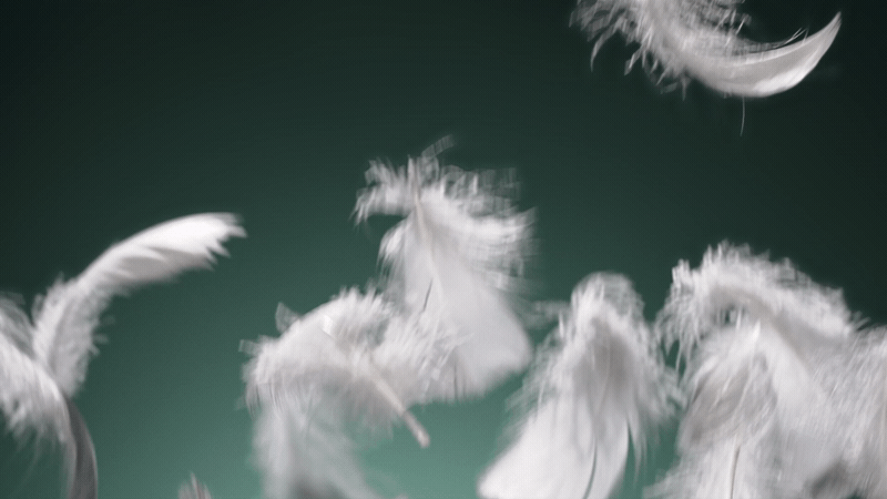 电商视频 |海卓美发膏 | 响马摄影