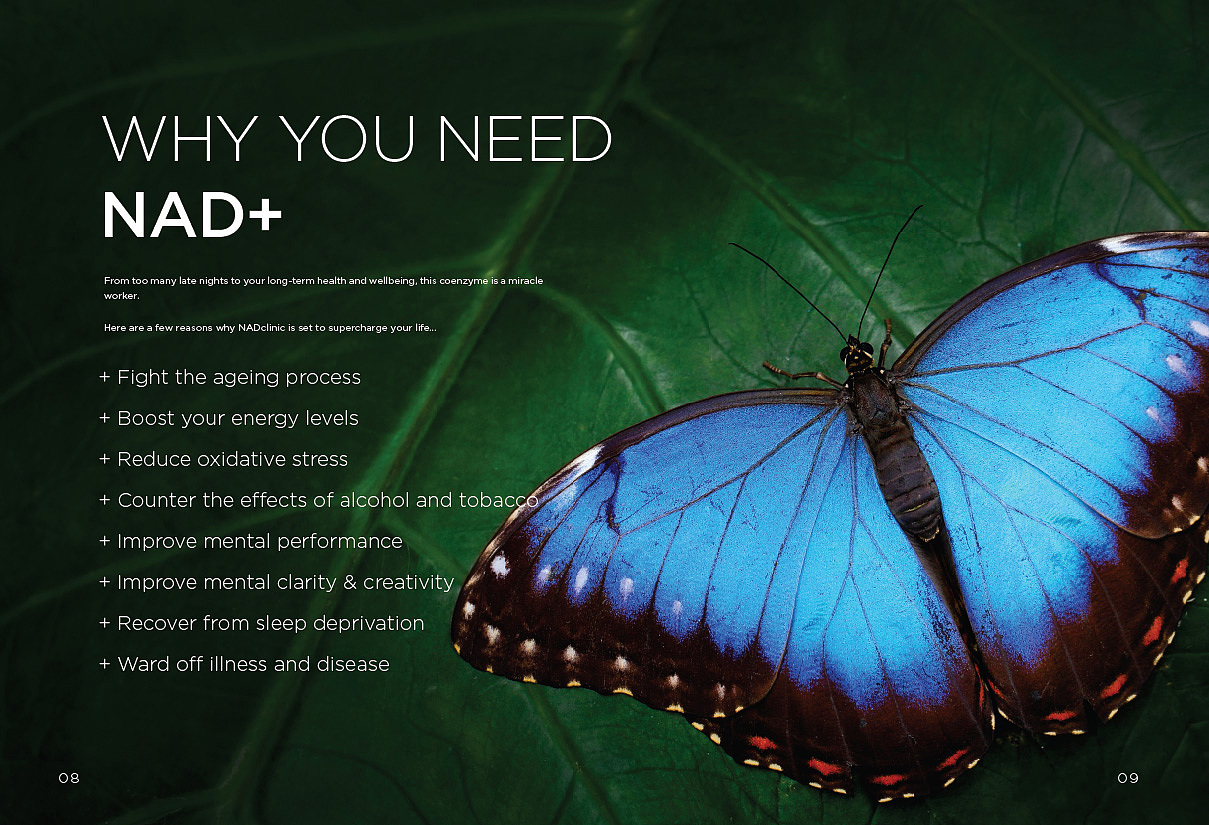 NADclinic手册 2020版（图ZMjAwODY2MTY4） - 书籍/画册 - 站酷设计师夏雨早知道原创素材 - 站酷ZCOOL