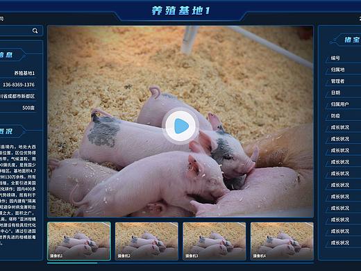 国之农者养殖基地视频监控平台