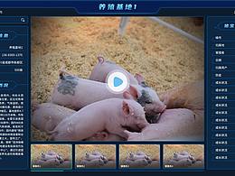 人脸识别