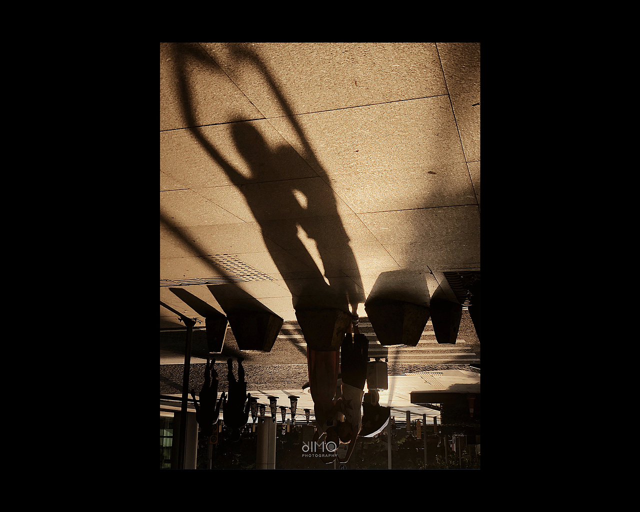 2019 | 手机摄影合集