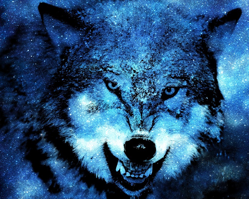 星空背景狼图腾