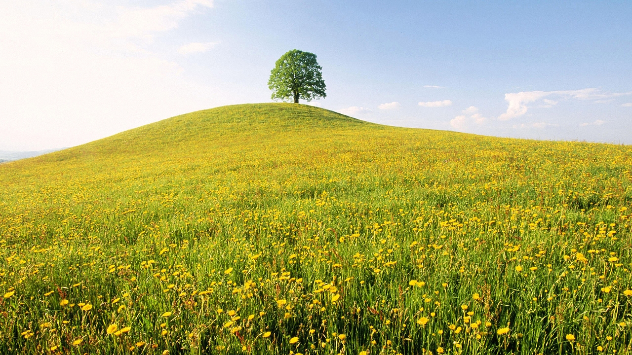 自然风景（图ZMjU1NDA2MDIw） - 风光摄影 - 站酷设计师77吖吖原创素材 - 站酷ZCOOL